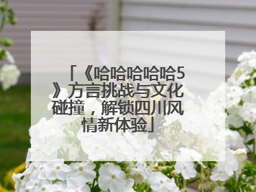 《哈哈哈哈哈5》方言挑战与文化碰撞，解锁四川风情新体验