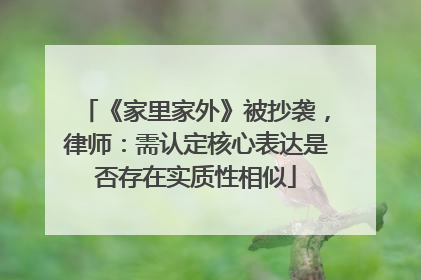 《家里家外》被抄袭，律师：需认定核心表达是否存在实质性相似