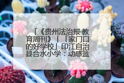 《贵州法治报·教育周刊》丨「家门口的好学校」印江自治县合水小学：动感篮球操 活力满校园