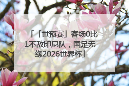 「世预赛」客场0比1不敌印尼队，国足无缘2026世界杯