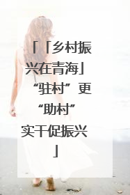 「乡村振兴在青海」“驻村”更“助村” 实干促振兴