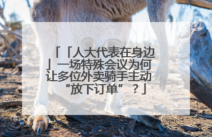 「人大代表在身边」一场特殊会议为何让多位外卖骑手主动“放下订单”？