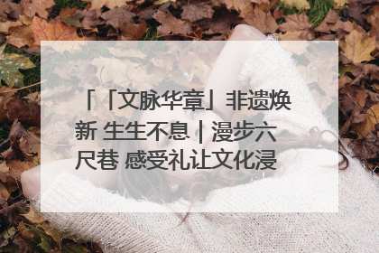 「文脉华章」非遗焕新 生生不息｜漫步六尺巷 感受礼让文化浸润的“巷”往生活