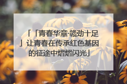 「青春华章·赣劲十足」让青春在传承红色基因的征途中熠熠闪光