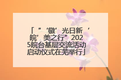 “‘徽’光日新‘皖’美之行”2025皖台基层交流活动启动仪式在芜举行