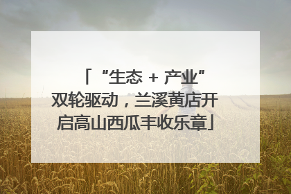 “生态 + 产业”双轮驱动，兰溪黄店开启高山西瓜丰收乐章