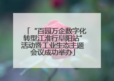 “百园万企数字化转型江淮行阜阳站”活动暨工业生态主题会议成功举办