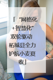“网格化+智慧化”双轮驱动 柘城县全力护航小麦夏收