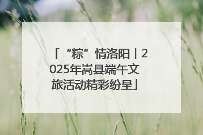 “粽”情洛阳丨2025年嵩县端午文旅活动精彩纷呈