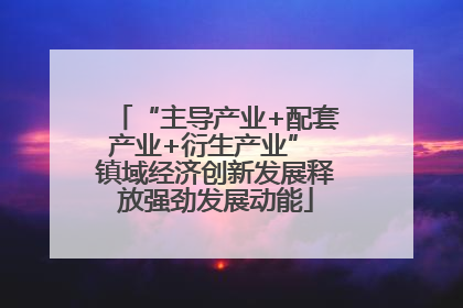 “主导产业+配套产业+衍生产业” 镇域经济创新发展释放强劲发展动能