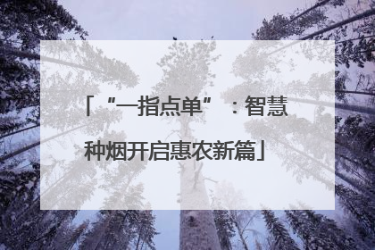“一指点单”：智慧种烟开启惠农新篇