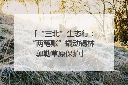 “三北”生态行：“两笔账”撬动锡林郭勒草原保护