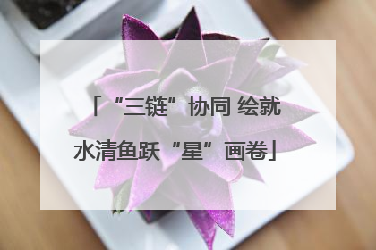 “三链”协同 绘就水清鱼跃“星”画卷