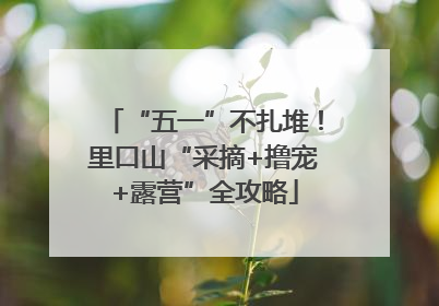 “五一”不扎堆！里口山“采摘+撸宠+露营”全攻略