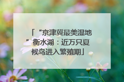 “京津冀最美湿地”衡水湖：近万只夏候鸟进入繁殖期