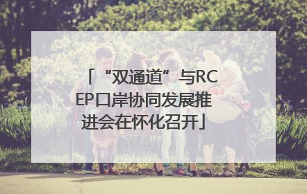 “双通道”与RCEP口岸协同发展推进会在怀化召开