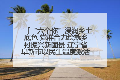 “六个你”浸润乡土底色 党群合力绘就乡村振兴新图景 辽宁省阜新市以民生温度激活乡村善治密码