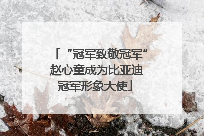 “冠军致敬冠军” 赵心童成为比亚迪冠军形象大使