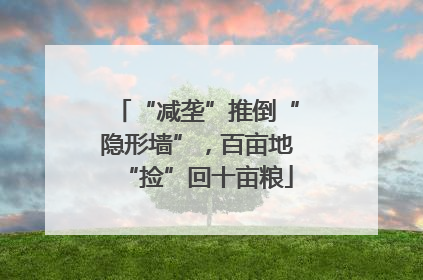 “减垄”推倒“隐形墙”，百亩地“捡”回十亩粮