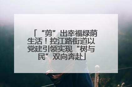 “剪”出幸福绿荫生活！控江路街道以党建引领实现“树与民”双向奔赴