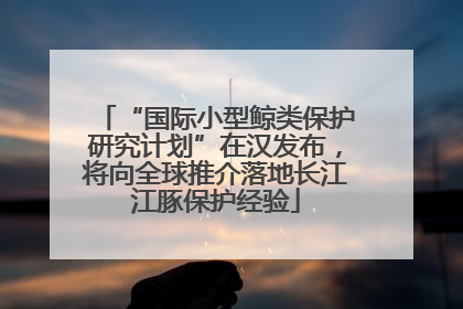 “国际小型鲸类保护研究计划”在汉发布，将向全球推介落地长江江豚保护经验