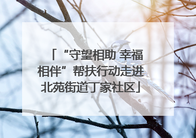 “守望相助 幸福相伴”帮扶行动走进北苑街道丁家社区