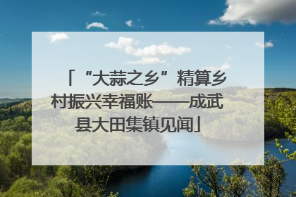 “大蒜之乡”精算乡村振兴幸福账——成武县大田集镇见闻