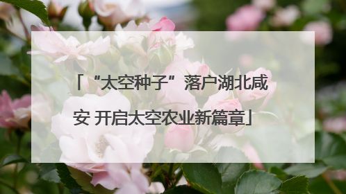 “太空种子”落户湖北咸安 开启太空农业新篇章