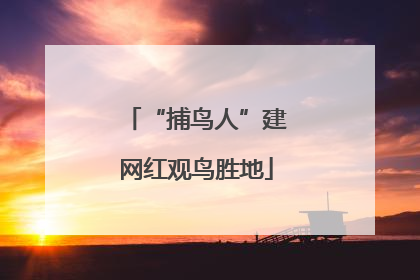 “捕鸟人”建网红观鸟胜地