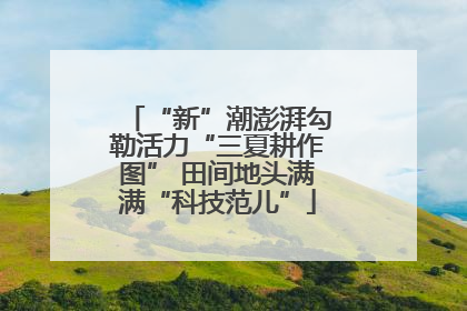 “新”潮澎湃勾勒活力“三夏耕作图” 田间地头满满“科技范儿”