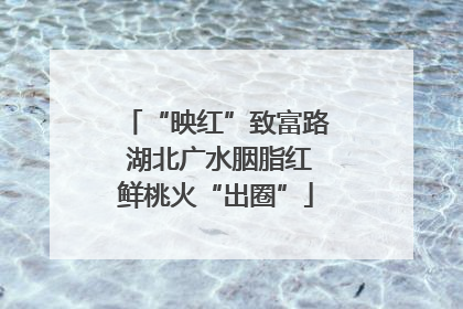 “映红”致富路 湖北广水胭脂红鲜桃火“出圈”