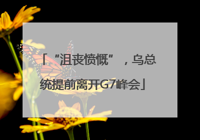 “沮丧愤慨”，乌总统提前离开G7峰会