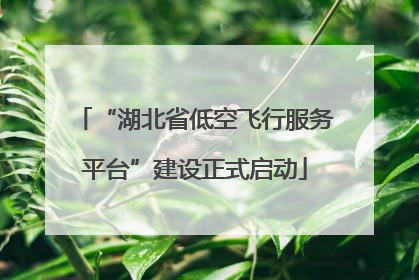 “湖北省低空飞行服务平台”建设正式启动