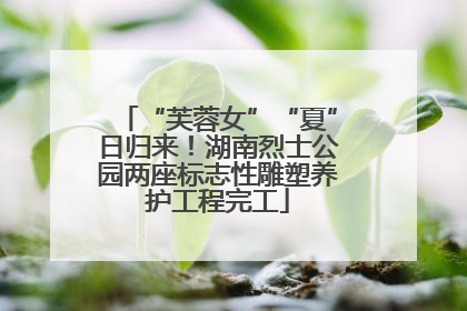 “芙蓉女”“夏”日归来！湖南烈士公园两座标志性雕塑养护工程完工