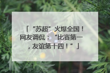 “苏超”火爆全国！网友调侃：“比赛第一，友谊第十四！”