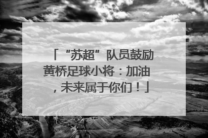 “苏超”队员鼓励黄桥足球小将：加油，未来属于你们！