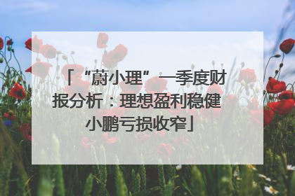 “蔚小理”一季度财报分析：理想盈利稳健 小鹏亏损收窄