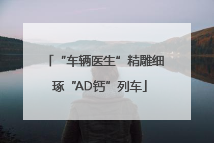 “车辆医生”精雕细琢“AD钙”列车