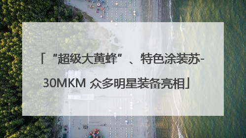 “超级大黄蜂”、特色涂装苏-30MKM 众多明星装备亮相