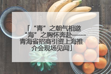 “青”之朝气相邀 “海”之胸怀奔赴——青海省招商引资上海推介会现场见闻