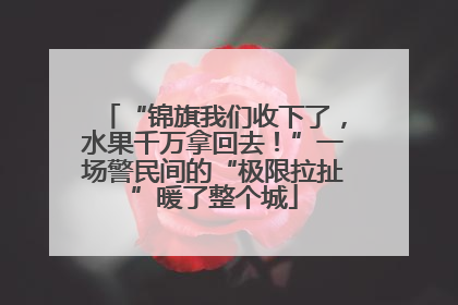“锦旗我们收下了，水果千万拿回去！”一场警民间的“极限拉扯”暖了整个城
