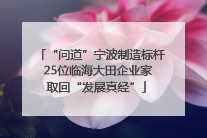 “问道”宁波制造标杆 25位临海大田企业家取回“发展真经”