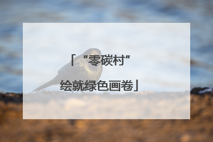 “零碳村” 绘就绿色画卷