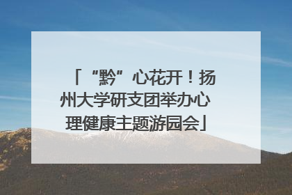 “黔”心花开！扬州大学研支团举办心理健康主题游园会