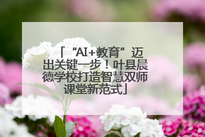 “AI+教育”迈出关键一步！叶县晨德学校打造智慧双师课堂新范式