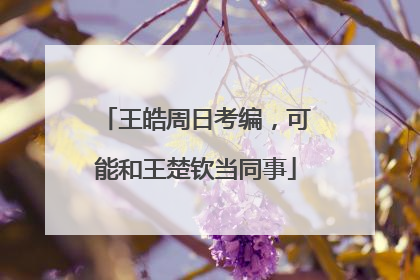 王皓周日考编，可能和王楚钦当同事