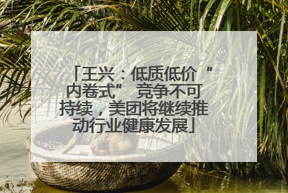王兴：低质低价“内卷式” 竞争不可持续，美团将继续推动行业健康发展