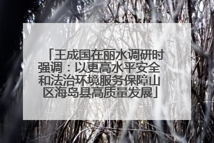 王成国在丽水调研时强调：以更高水平安全和法治环境服务保障山区海岛县高质量发展