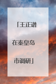 王正谱在秦皇岛市调研