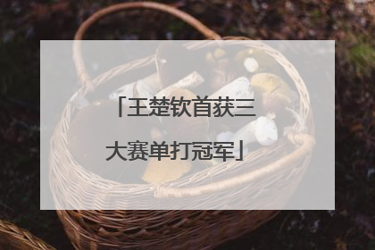 王楚钦首获三大赛单打冠军